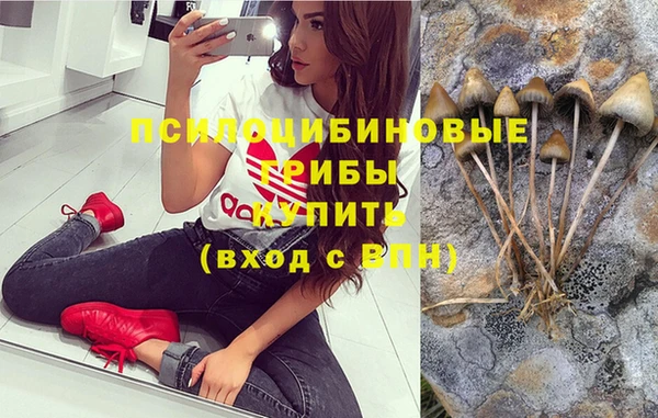 mdpv Семикаракорск