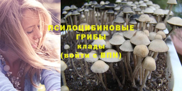 дживик Алзамай