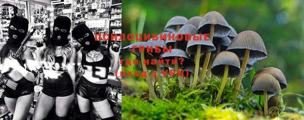 амфетамин Алексин