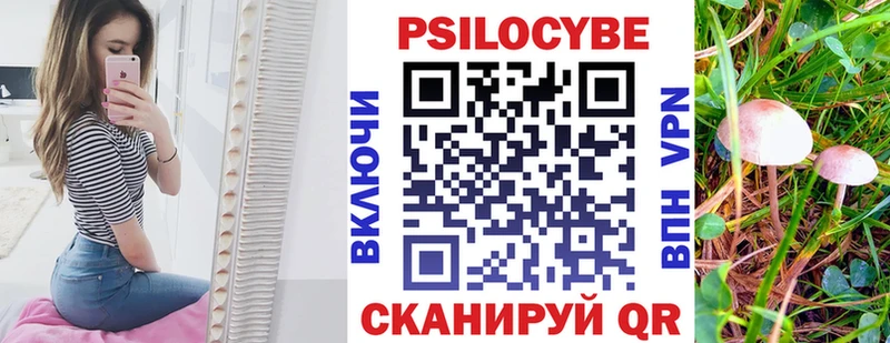 Псилоцибиновые грибы мицелий  как найти закладки  Калязин 