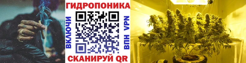 Конопля MAZAR  Калязин 